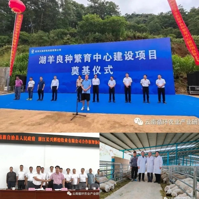 5.1招商引资，浙江长兴辉煌牧业领跑云南“湖羊产业”.jpg