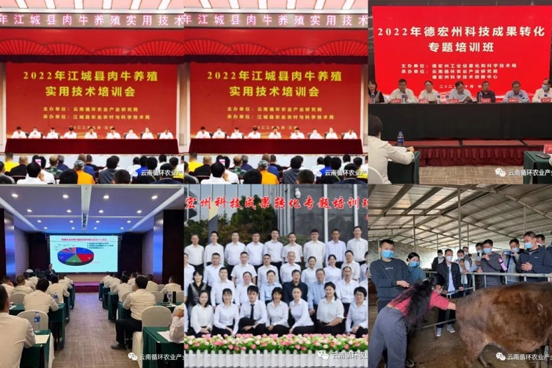 10.1倾囊相授，云南农业产业科技人才培训有声有色.jpg