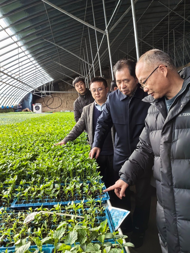 3. 202402邹学校应邀赴内蒙调研指导辣椒产业发展38.jpg