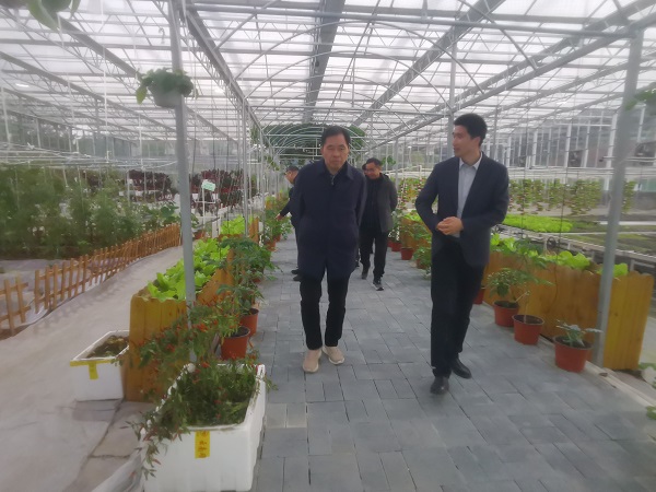 5.1 20251226-27邹学校院士考察东升农场2.jpg