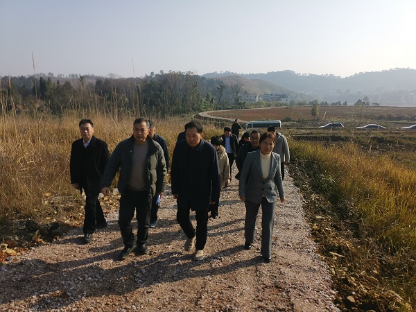 2. 20251226-27邹学校院士调研乡村振兴工作6.jpg