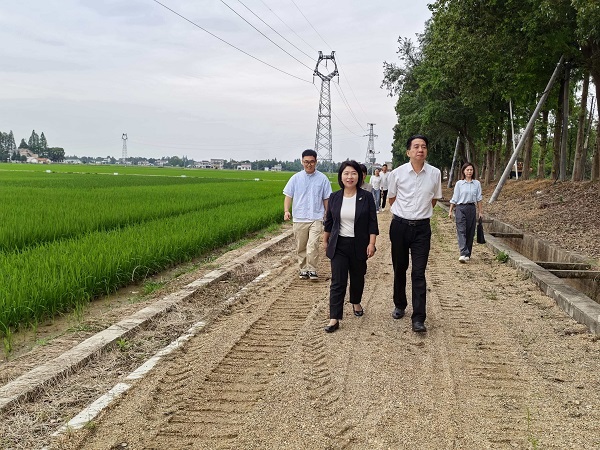 1.2 20260530考察国家杂交水稻展示与评价基地.jpg