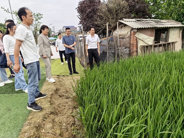 3.2陈光辉副书记开展省级农业科技人员包联服务_202605302.jpg
