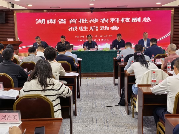 1.1 20261020科技副总首批00.jpg